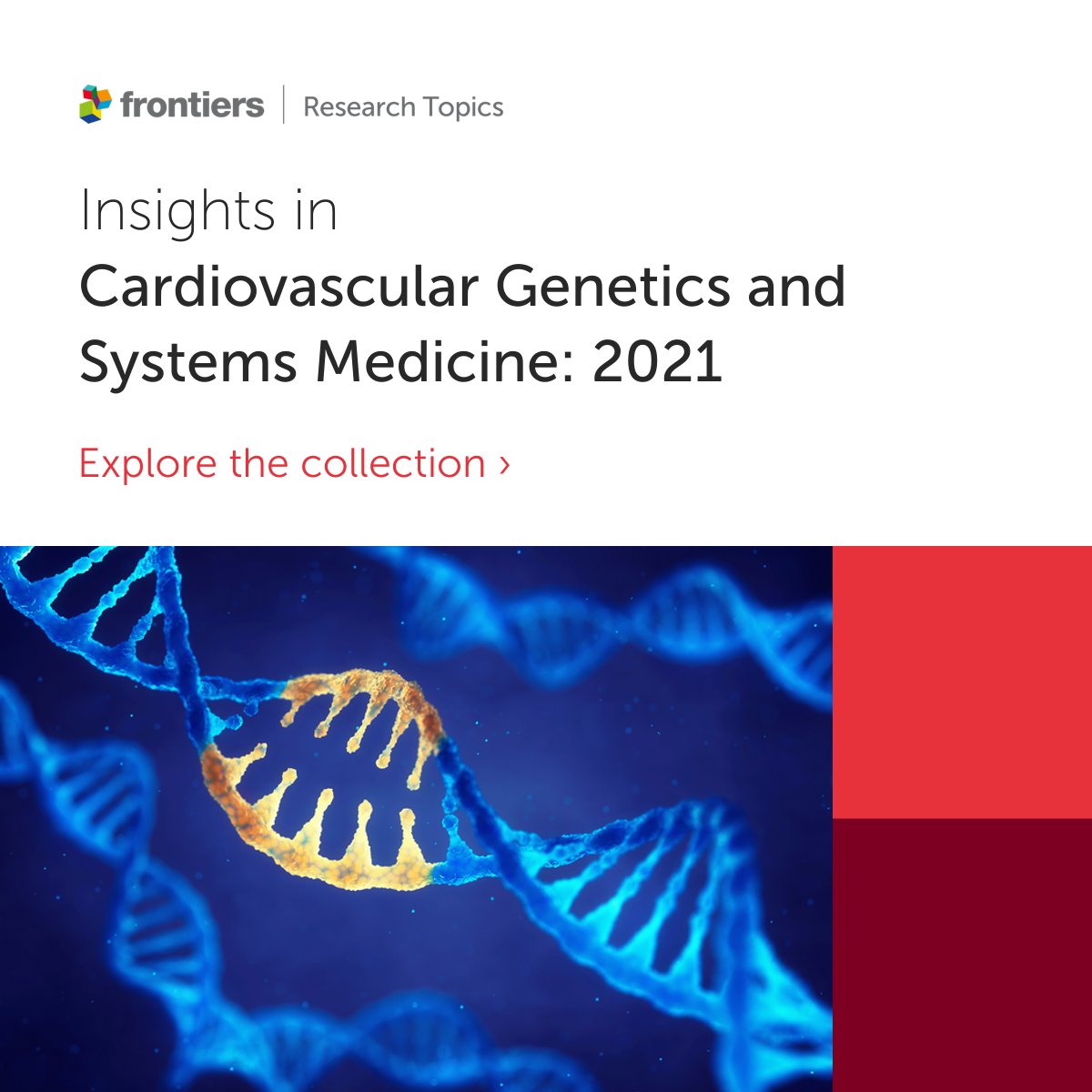 FrontCVMedicine's tweet photo. Want to read about #CardiovascularGenetics? 

Delighted to present "Insights in Cardiovascular Genetics and Systems Medicine: 2021" a collection of high-quality articles from our established editorial board members 🫀

Browse the papers here 👉 https://t.co/91VgBZcJQP https://t.co/EZE9p40GQ3