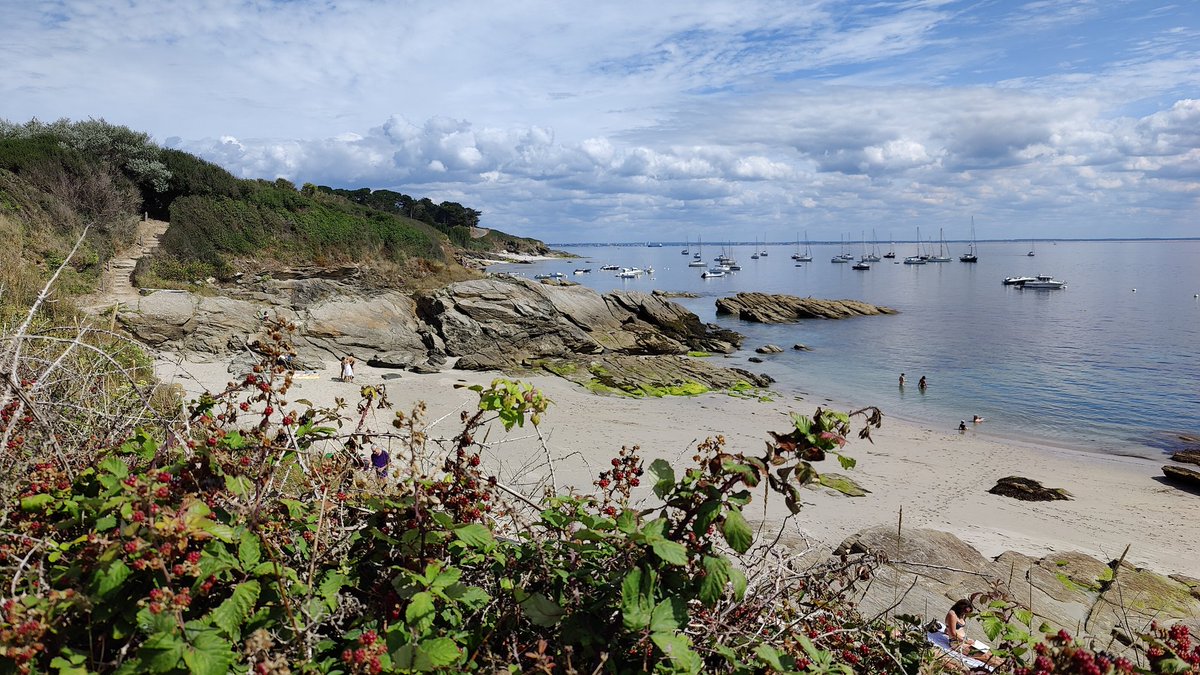 dylan_hayes's tweet photo. It's hard to find fault with France sometimes, especially a day trip to the Isle of #Groix with stunning beaches and amazing geology. https://t.co/LjUpOglvbv