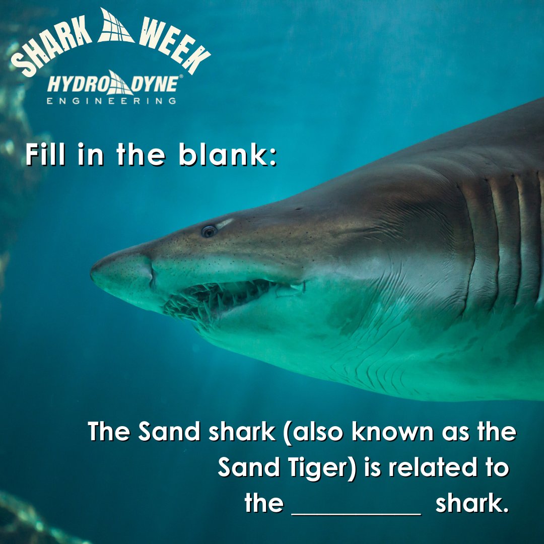 Fill in the blank: The Sand shark is related to the ___________ shark. 🦈🌊

Learn more about our own Sand shark grit removal systems here ➡️ hubs.li/Q01gP7nS0. 

#HydroDyneEngineering #SharkWeek #WednesdayWisdom