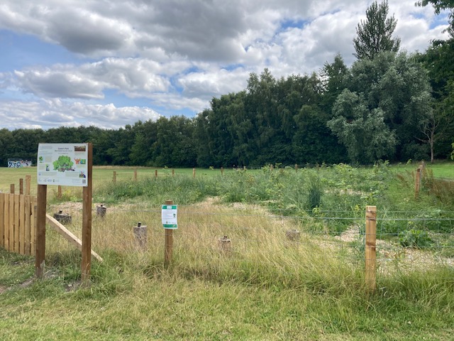 nolesserpanda's tweet photo. Pleased to see the new Wee Forest in Queens Park, looking forward to watching it flourish! 

#SmallChangesMakeBigDifferences

Thanks @nature_scot @Earthwatch_Eur @ScotGovNetZero @GlasgowCC @GreenActionT @BattlefieldPS 

#rewilding #PlanetPeoplePandas
#Glasgow #SustainableWeb https://t.co/dngmJkgWkF