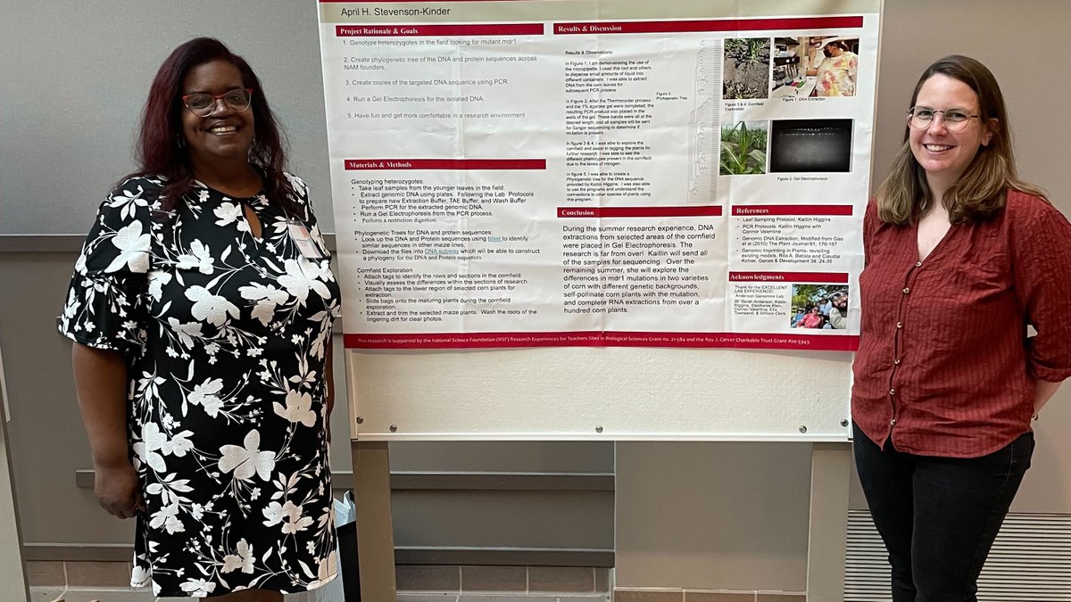 Sarah N. Anderson tweet media