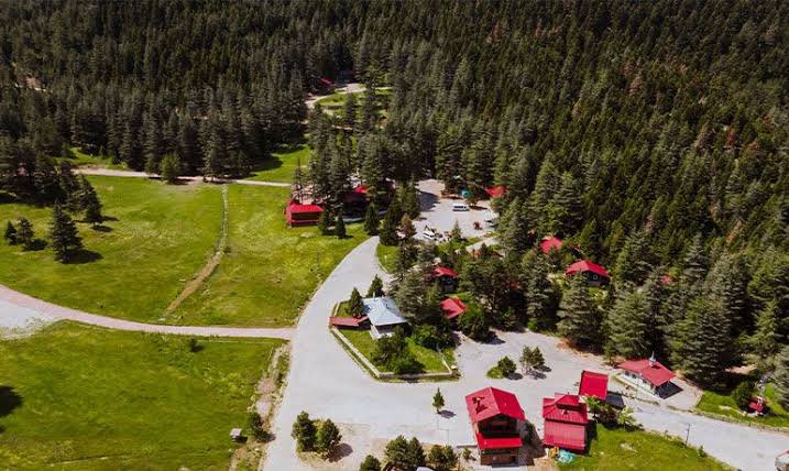 Başkonuş Yaylası
📌 #Kahramanmaras