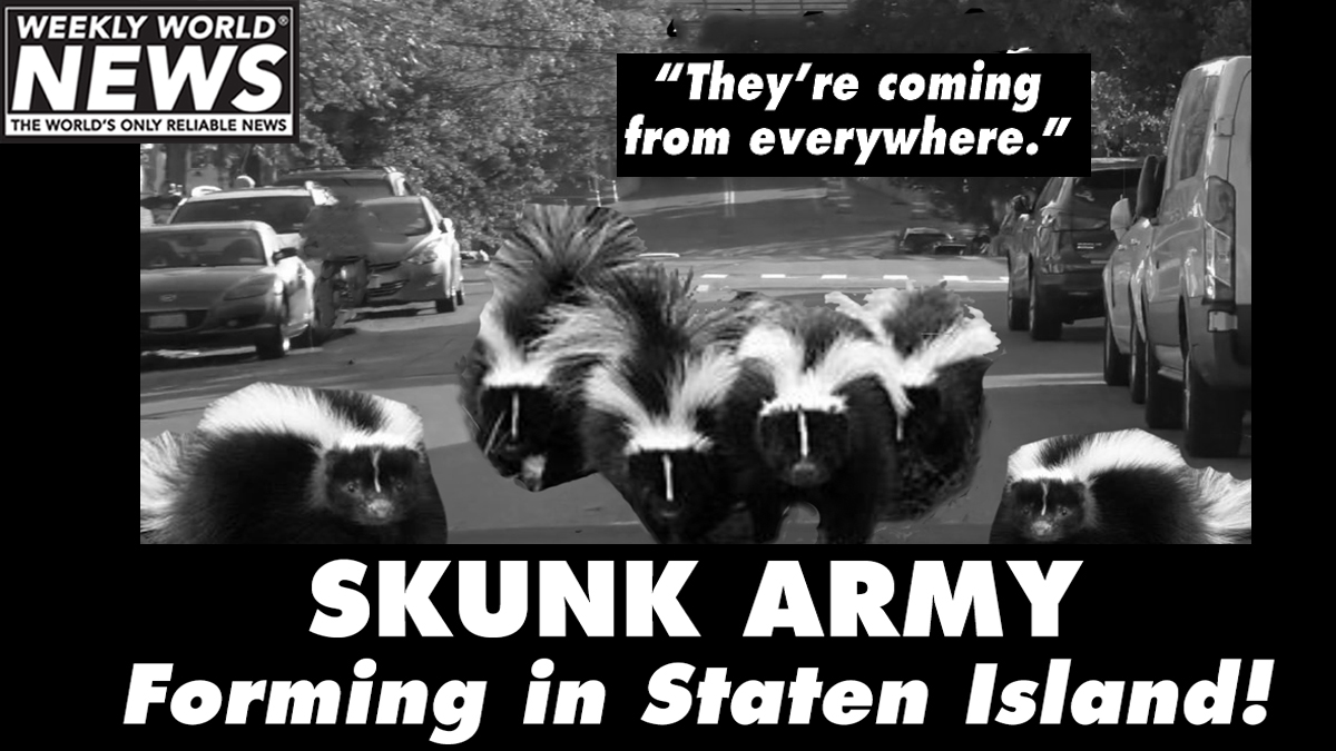 weeklyworldnews's tweet photo. No one is sure why they are coming to Staten Island... but maybe looking for Wu-Tang?
#statenisland #skunks #wutangclan #skunkarmy https://t.co/bikC7ZQoEO