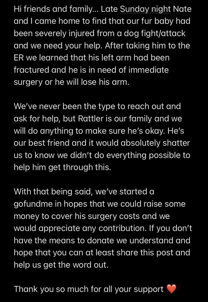 _alondraaa_a's tweet photo. Hiii everyone please take the time to read and share… Nate and I really need all your help right now ❤️ 

https://t.co/sxoeNzPk4Z https://t.co/xGhUTiGk4K