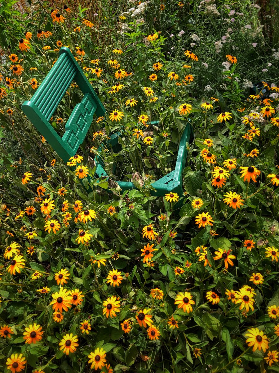 dckahoe's tweet photo. ⚪️
My garden chair is blooming! 🪑
⚪️
⚪️
#SnapSeed #iphoneography #MidwestMagic
#mymissourilife #hereisgood #IfoundthisthinginterestingandIthinkyoushouldlooktoo #WarrensburgMO https://t.co/18ZO0Ty66f
