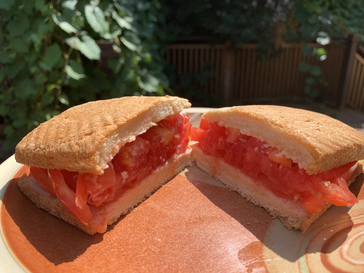 VegetahBooks tweet media