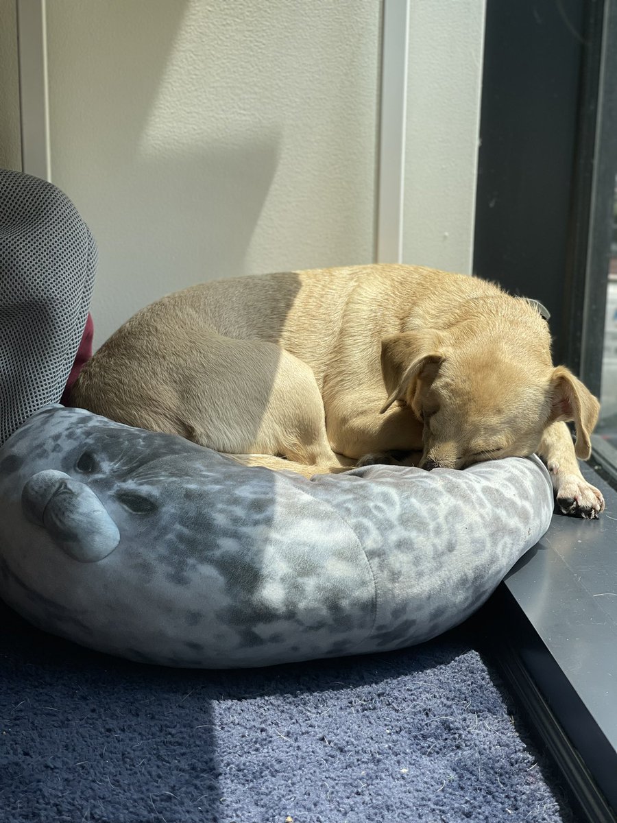 We’re taking it easy today