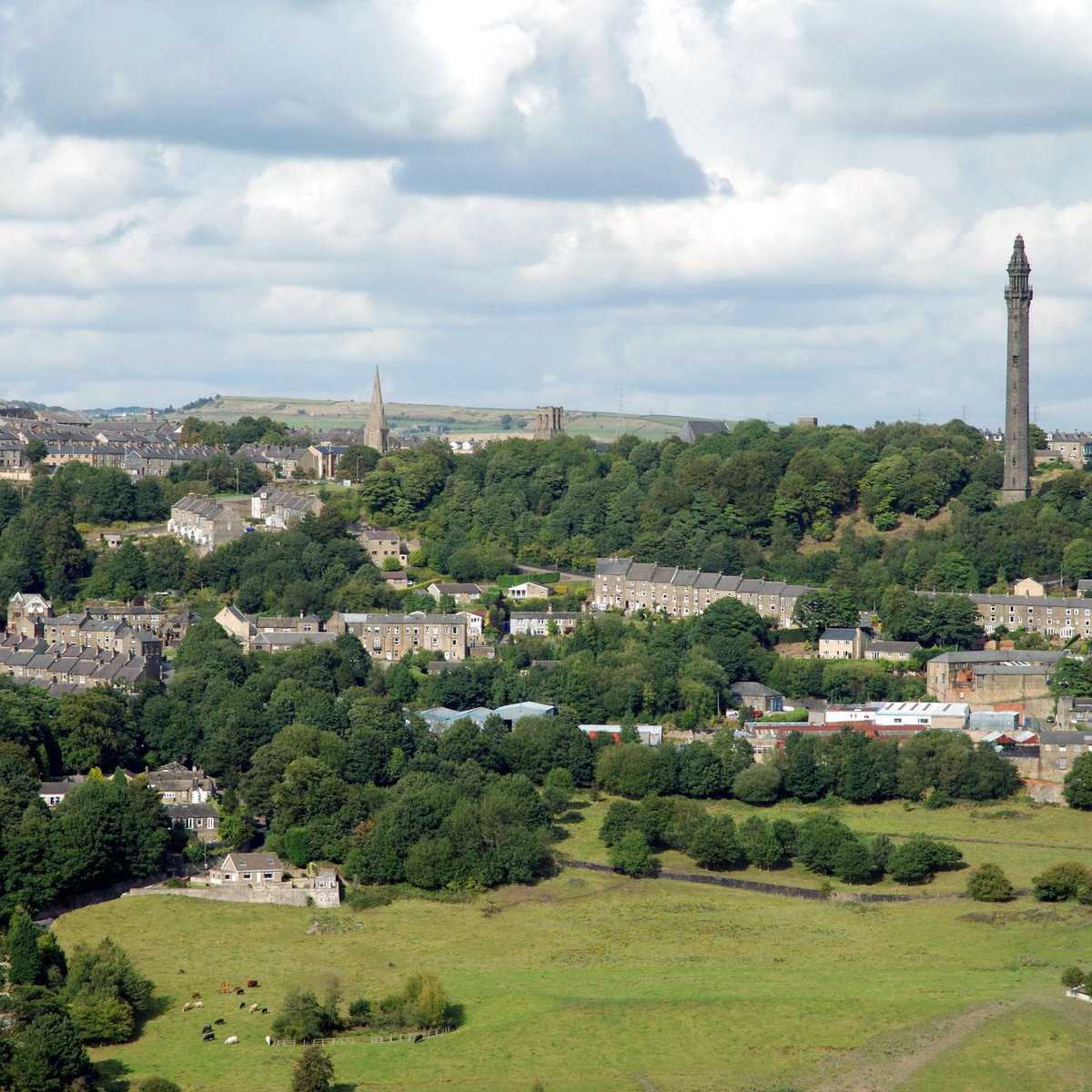 Emma Robinson tweet media