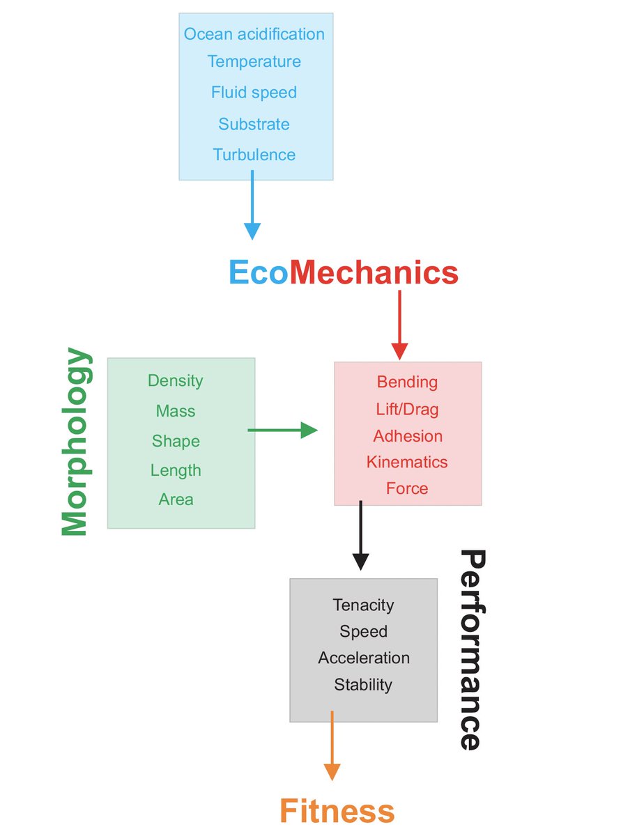Check out our intro/review paper (with <a href="/LaraFerry/">Dr. Lara Ferry</a>)  from our <a href="/SICB_/">SICB</a> symposium: Ecomechanics and the Rules of Life: a Critical Conduit Between the Physical and Natural Sciences academic.oup.com/icb/advance-ar…  @EeobUcr <a href="/ICB_journal/">ICBJournal@sicb.org</a> <a href="/UCR_ScienceNews/">UCR Science News</a> #ecomechanics #biomechanics #Ecology
