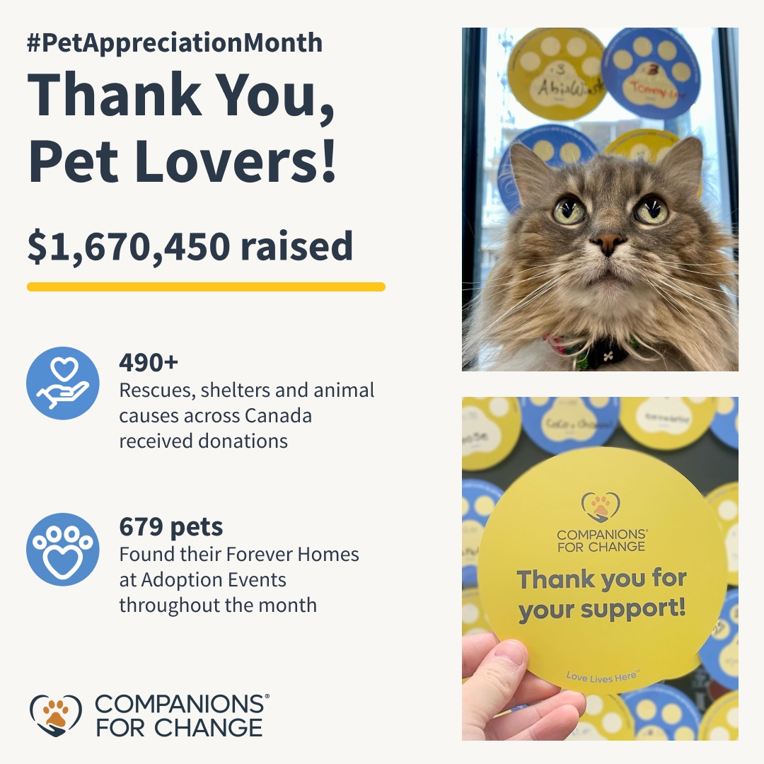 This Pet Appreciation Month, through your generous donations at our Pet Valu family of stores, you helped us reach $1.6M to be given back to local pets in your community. 

#PetAppreciationMonth #PVPawMonth #Companions4Change