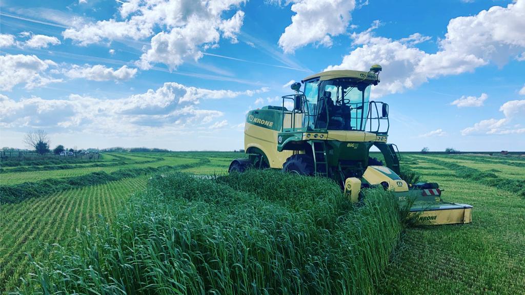 Carrs Billington Agriculture - Tractor Emporium! (@tractoremporium) on Twitter photo Nick Hoyles of Hoyles Contractors Ltd has sat down with <a href="/FarmersWeekly/">Farmers Weekly</a>, to talk about his switch from running three sets of triple mowers to a Krone BiG M 450, which he bought from our Skipton depot in April 2022💪
Check out the full article, here: ow.ly/aPvG50K5nJ8 Nick Hoyles of Hoyles Contractors Ltd has sat down with <a href="/FarmersWeekly/">Farmers Weekly</a>, to talk about his switch from running three sets of triple mowers to a Krone BiG M 450, which he bought from our Skipton depot in April 2022💪
Check out the full article, here: ow.ly/aPvG50K5nJ8