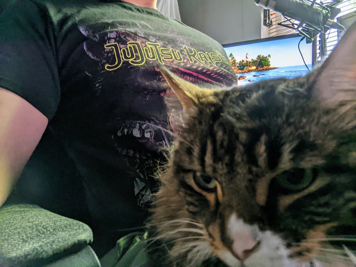 Kayo (@Kayo14693929) / Posts and Replies / X