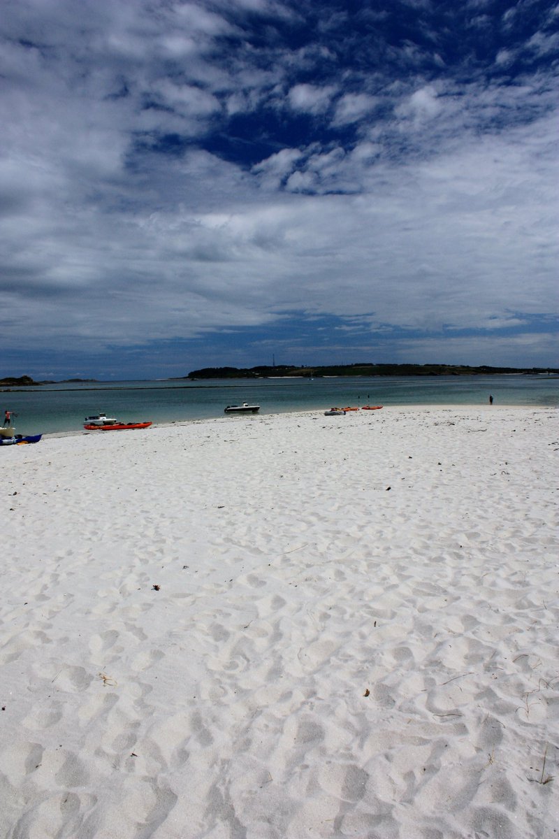 Peter Akrill tweet media