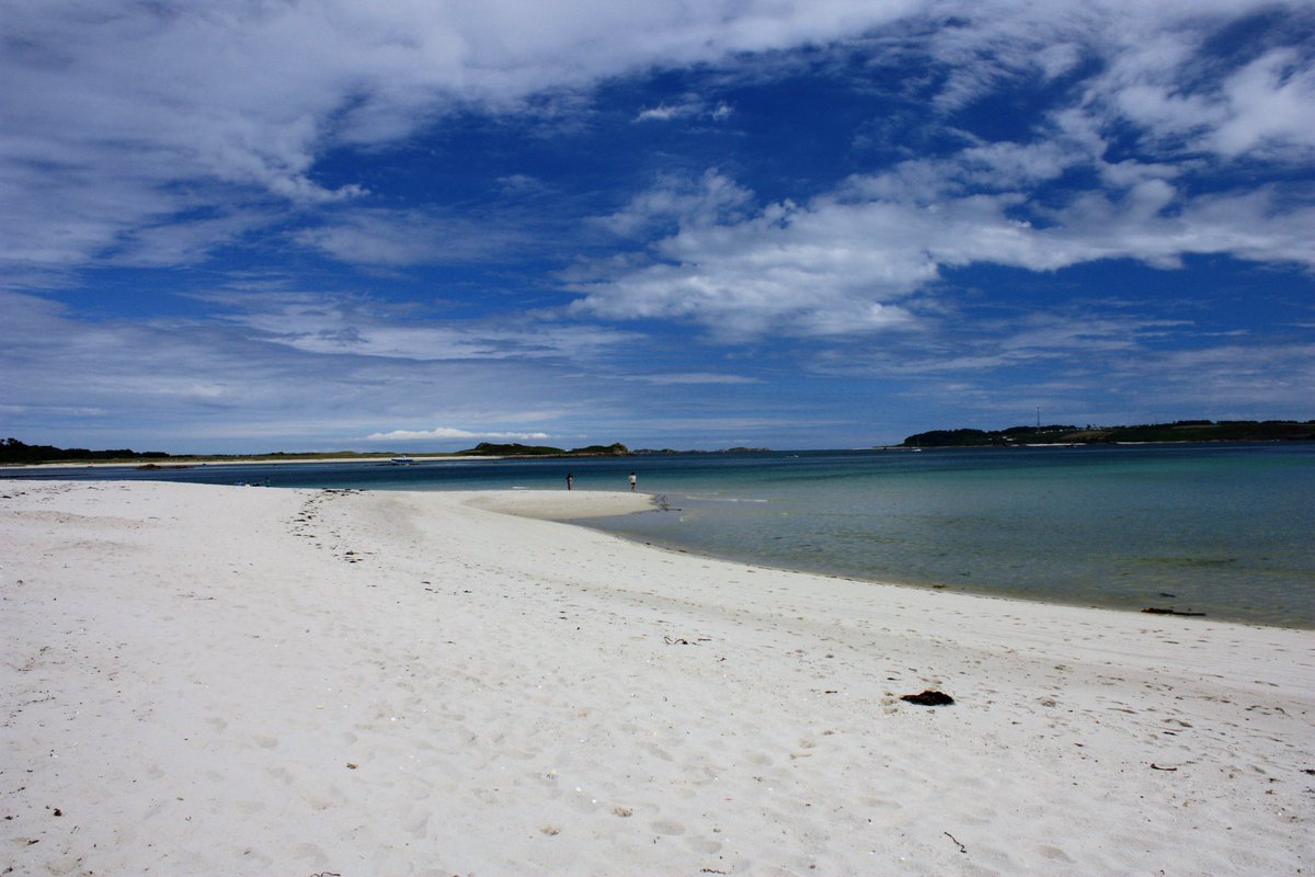 Peter Akrill tweet media