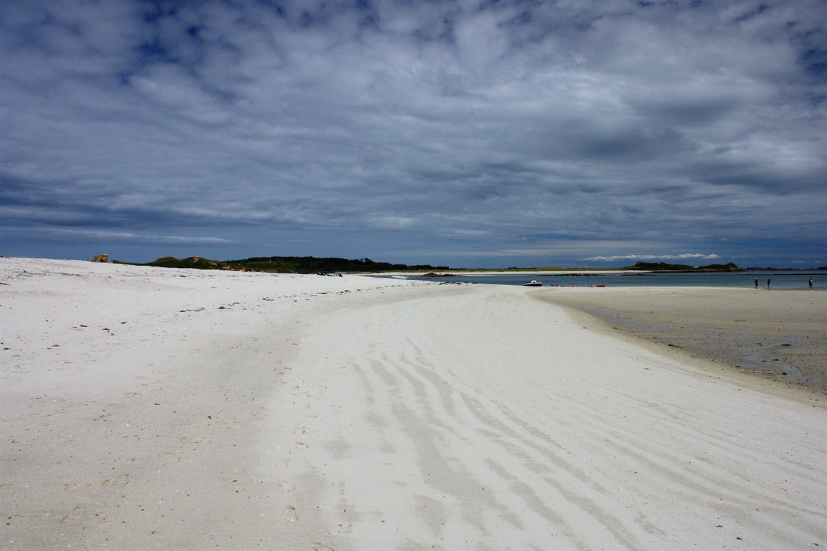 Peter Akrill tweet media