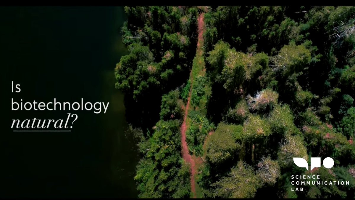 scicommlab's tweet photo. When you think of #climatechange, a chestnut tree is likely not your first thought. But the American Chestnut is an example of how scientists can use biotechnology to make forests more resilient. Uncover this link in our short film:
#SeeingScience
https://t.co/K0S9jO8QCw https://t.co/6u65SA5QRB
