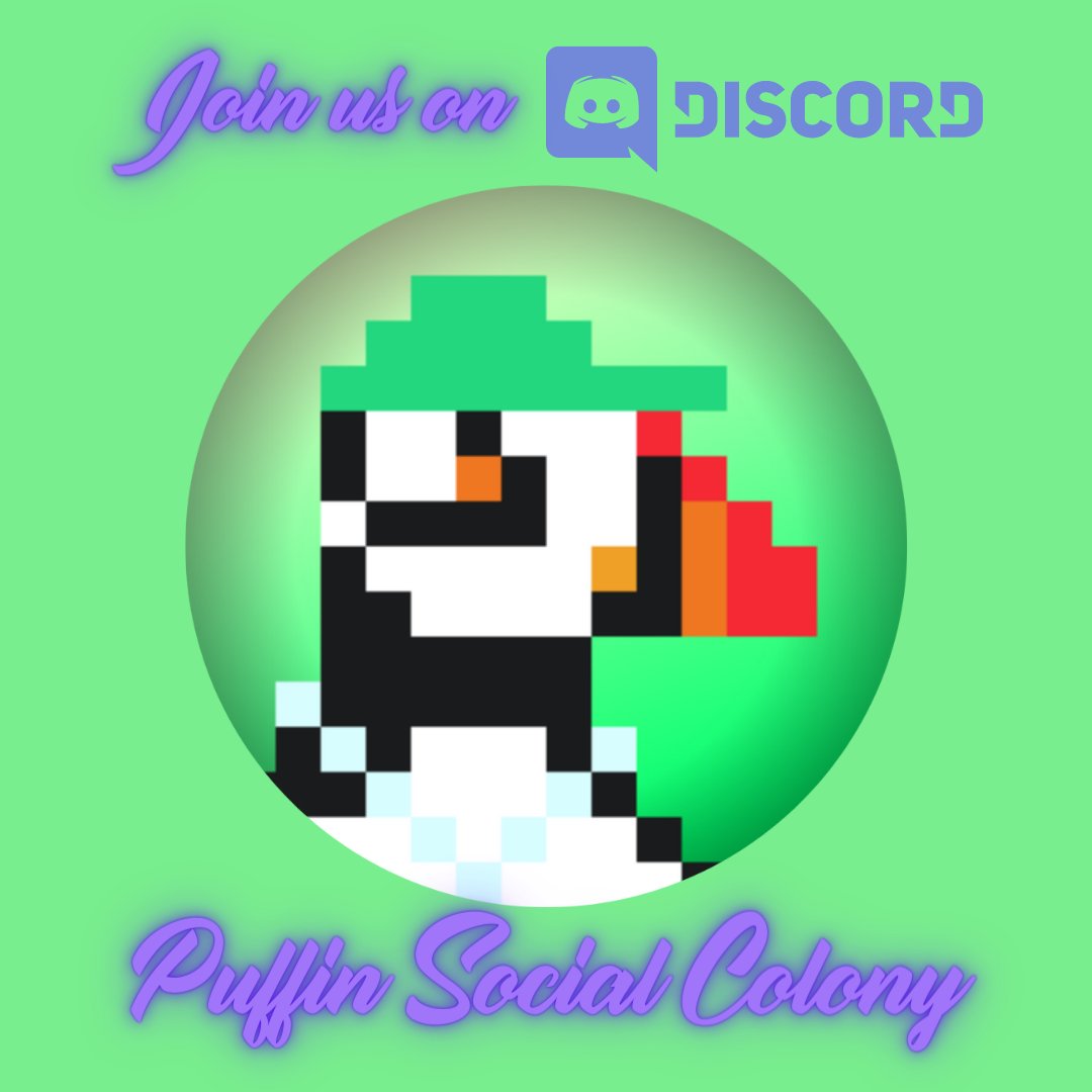 Join the official Discord server of the Puffin Social Colony and receive 2 free Retro Puffin #NFTs ! #NFTCommunity #PolygonNFTs #FreeNFTs #NFTAirdrop discord.gg/Uc3dyWJHy3