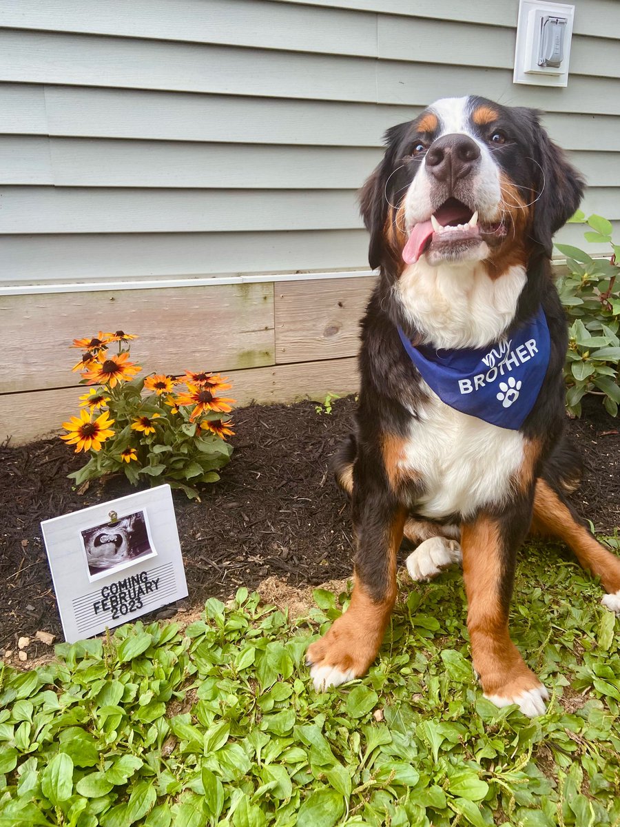 Jared Wagner tweet media