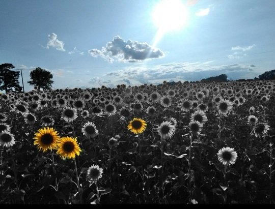 Be you. Everyone else is already taken.