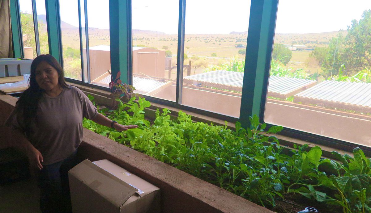 nativehydro's tweet image. @UAIndigeFewss trainee, Chantel Harrison (#Navajo), shares her summer internship project at @STARSchool with the #TransformationNetwork and #FEWSAlliance @MarkStone @MKacira_UACEAC