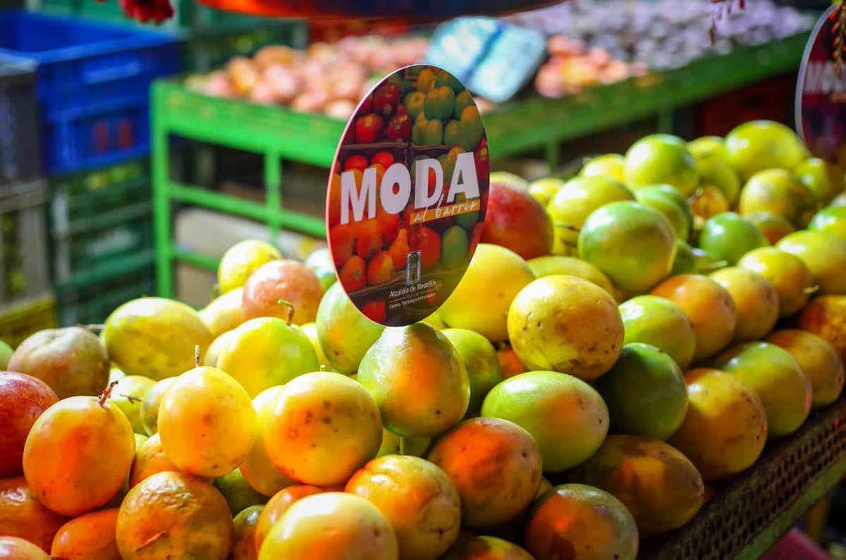 deninsonmendoza's tweet image. Felicidades a la gestión del despacho de la Gestora Social @diamaov y a la Sec de Desarrollo económico @AlejandroAriasG por apoyar la moda, la cultura y el arte local. 

Como siempre los grandes eventos de ciudad siempre por @Telemedellin #ModaAlBarrio2022 #Colombiamoda2022