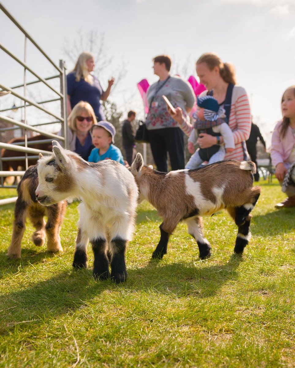 OxfordBusinessPark (@oxford_park) on Twitter photo If you work on <a href="/oxford_park/">OxfordBusinessPark</a> - Don’t forget to pop down to The Market Place tomorrow to cuddle some baby goats, lambs and rabbits as part of our ‘Farm on the Park’ event. This is open to families too so bring the kiddies along! #Wellbeing #FarmOnThePark #OxfordsKnowledgeQuarter If you work on <a href="/oxford_park/">OxfordBusinessPark</a> - Don’t forget to pop down to The Market Place tomorrow to cuddle some baby goats, lambs and rabbits as part of our ‘Farm on the Park’ event. This is open to families too so bring the kiddies along! #Wellbeing #FarmOnThePark #OxfordsKnowledgeQuarter