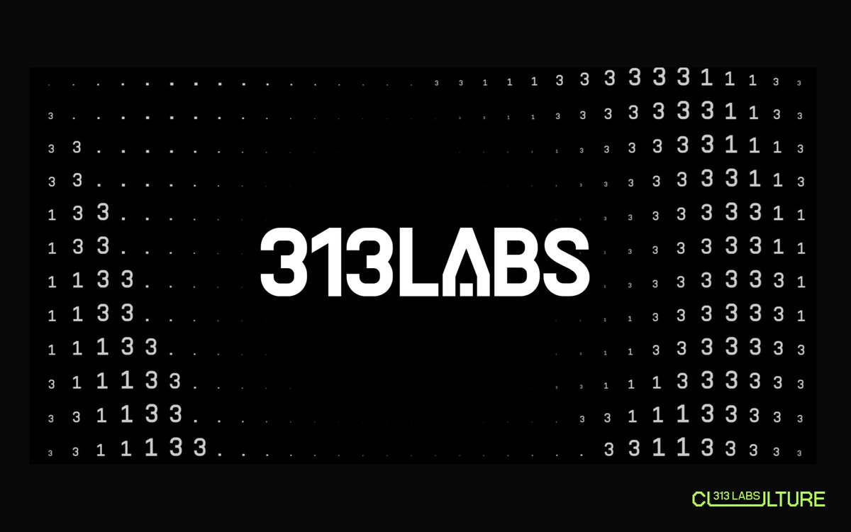 313 Labs tweet media