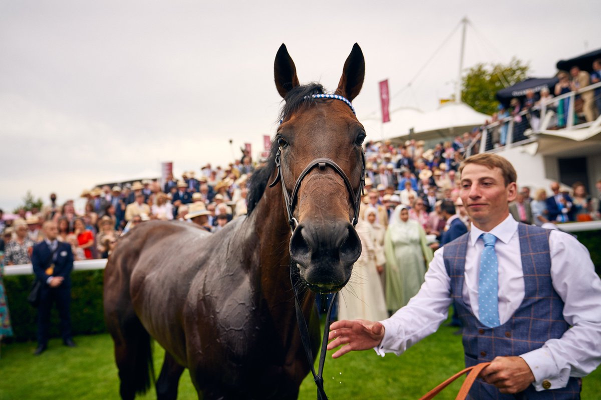 WHR's tweet image. 🥺 BAAEED 😍