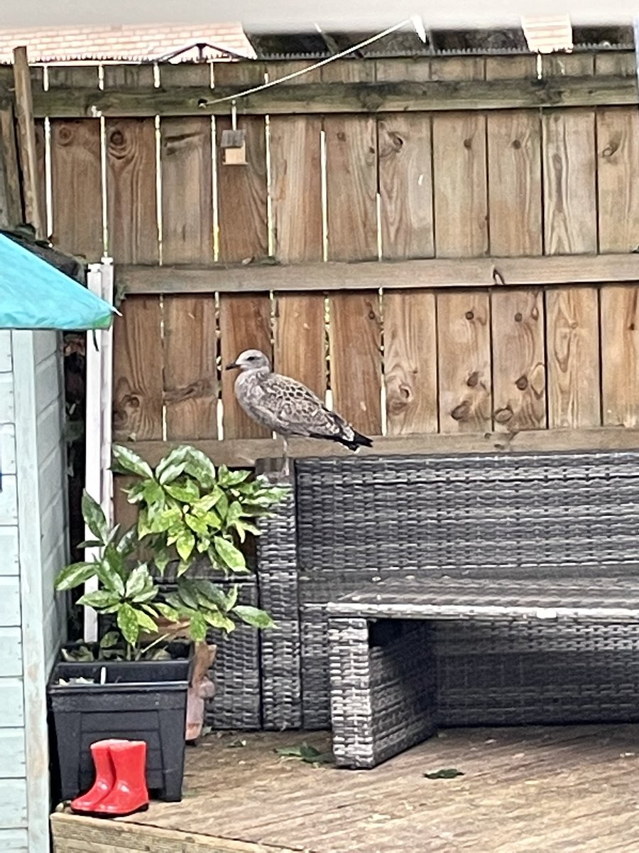 Alex Jeffers tweet media