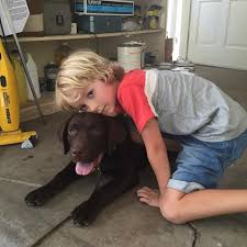 Darren Green tweet media