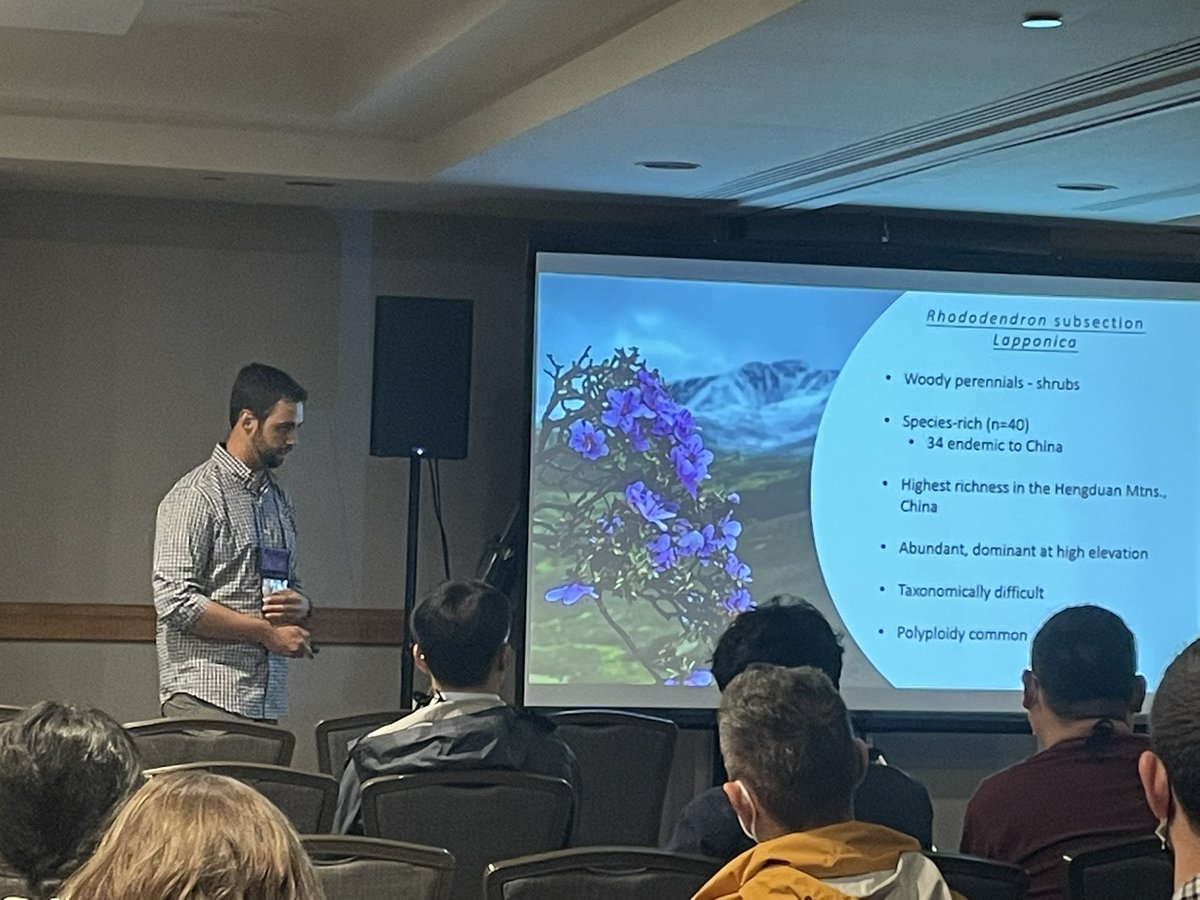 Beautiful talk by <a href="/_tree_line/">Ryan Fuller</a> showing convergent evolution of scale types and looooots of polyploidy in a montane clade of #Rhododendron– a great example of integrating genomic data, herbarium study, and bioinformatics. #Botany2022