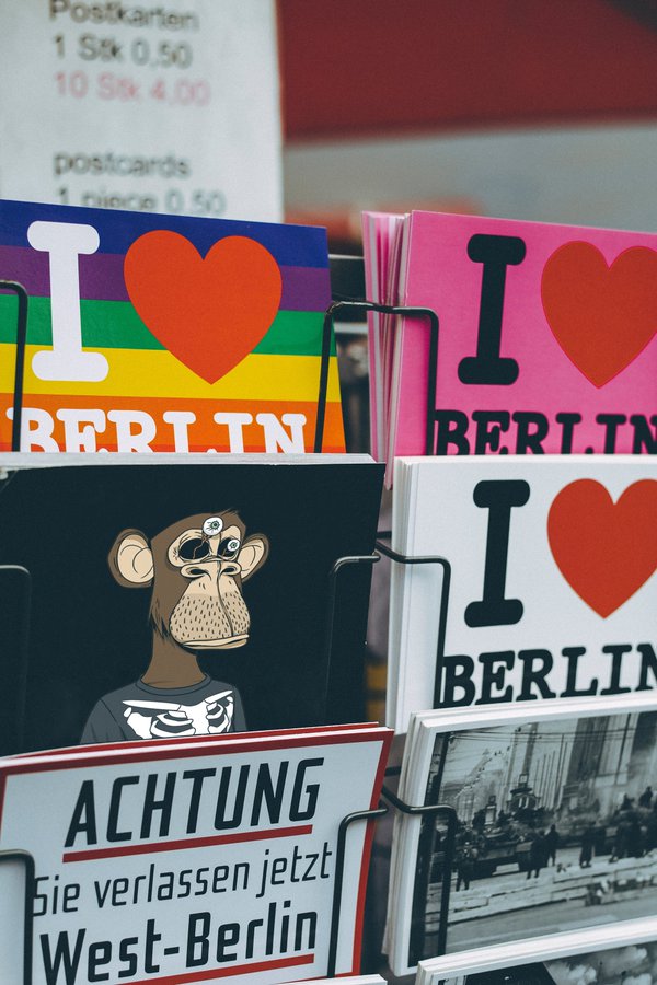 Reading bored book BoredApeYC
 BAYC