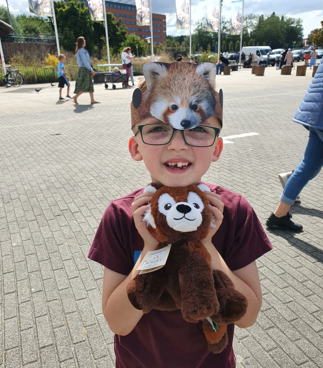 MevrPen's tweet photo. Zou hij gek zijn van #rodepanda 's ?🤣😍 #Blijdorp https://t.co/KuleBDZUcV