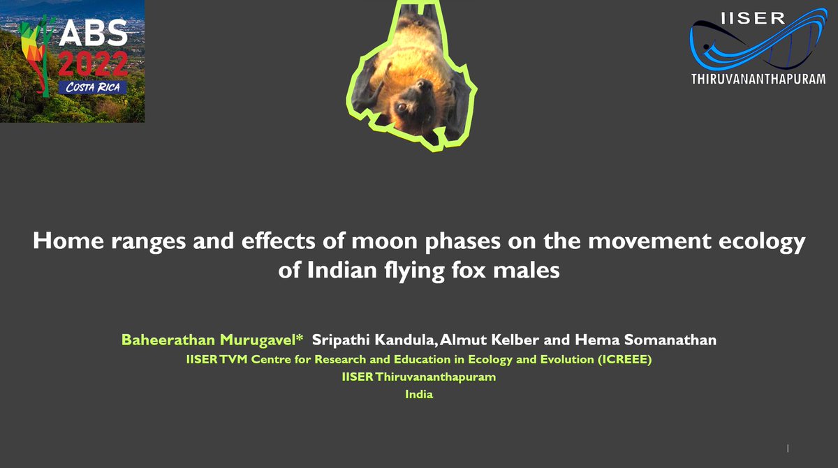BaheerathanM's tweet photo. If you are attending #ABS2022 check my on-demand talk to know about home ranges & flight patterns in response to 🌘🌔🌗🌓🌖🌒of the Indian flying fox males
Missed Costa Rica this time 🫤 but glad to have a virtual presence at the end😌
@AnimBehSociety
https://t.co/8GrGtZFfKS https://t.co/OsapPDYoYB