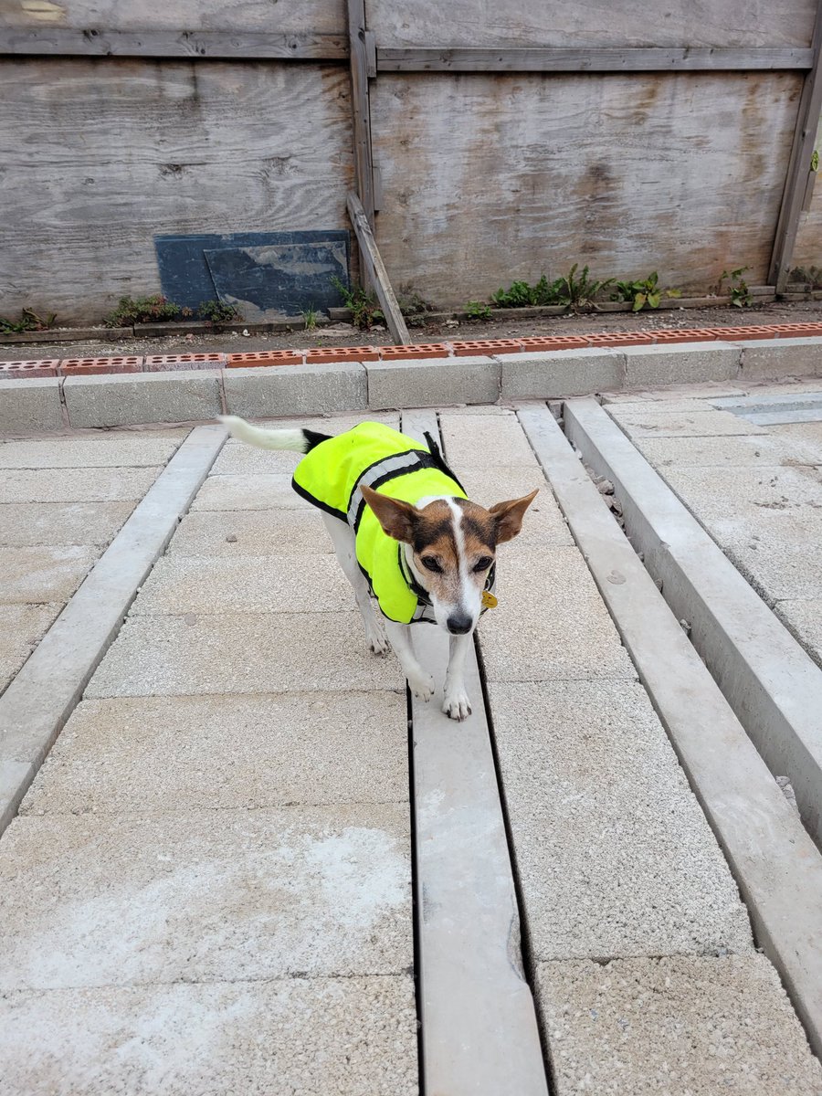 SDCSTEPHEN's tweet photo. #Lizzie loving the world of #work. Construction and #FREE #realteens 🌎 beyond the 📱 @_ConstructUK @SchoolsFootball @LFC @YoungPeople_UK @MarkSteynOnline @EduEstWales @cbuilde @DogsTrust @WMFireDogs @Chappers2013 @elliadesigns @MidsDog @HertsFireDog @DiskyNajia 🐕 https://t.co/82RCS1rSvl
