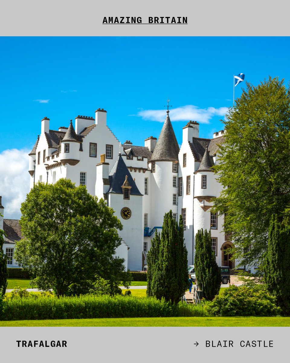 travelbybwd's tweet photo. Amazing Britain | @trafalgartravel | Day 04 | Blair Castle

#BlairCastle #AmazingBritain #TrafalgarTravel #SimplyTrafalgar #GreatBritain #UnitedKingdom #England #Scotland #Wales #Travel #TravelPhotography #Wanderlust #Instatravel #Travelgram #Travelling #Traveller #Traveling https://t.co/ISatgakpdL
