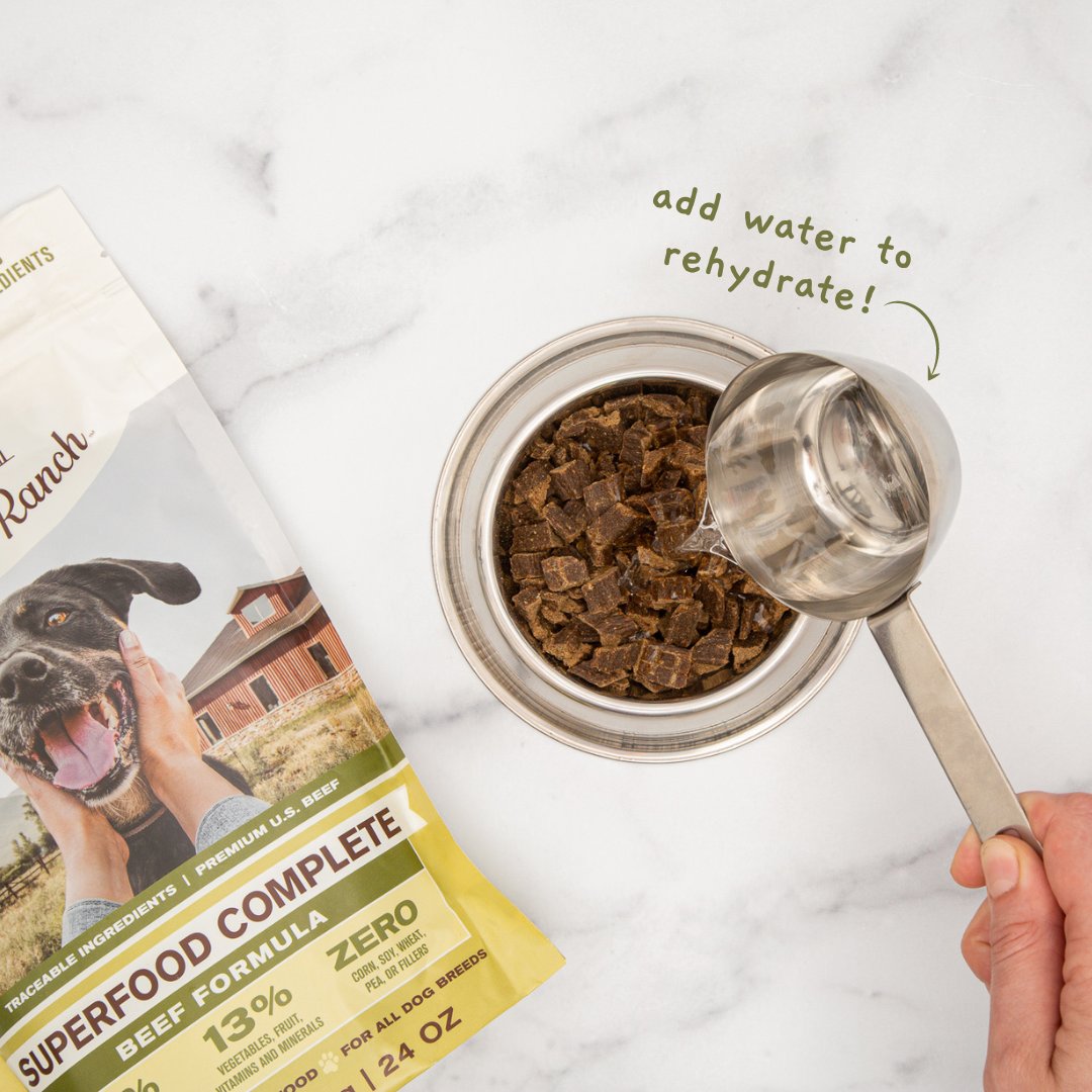 Should I Put Warm Water On Dry Dog Food