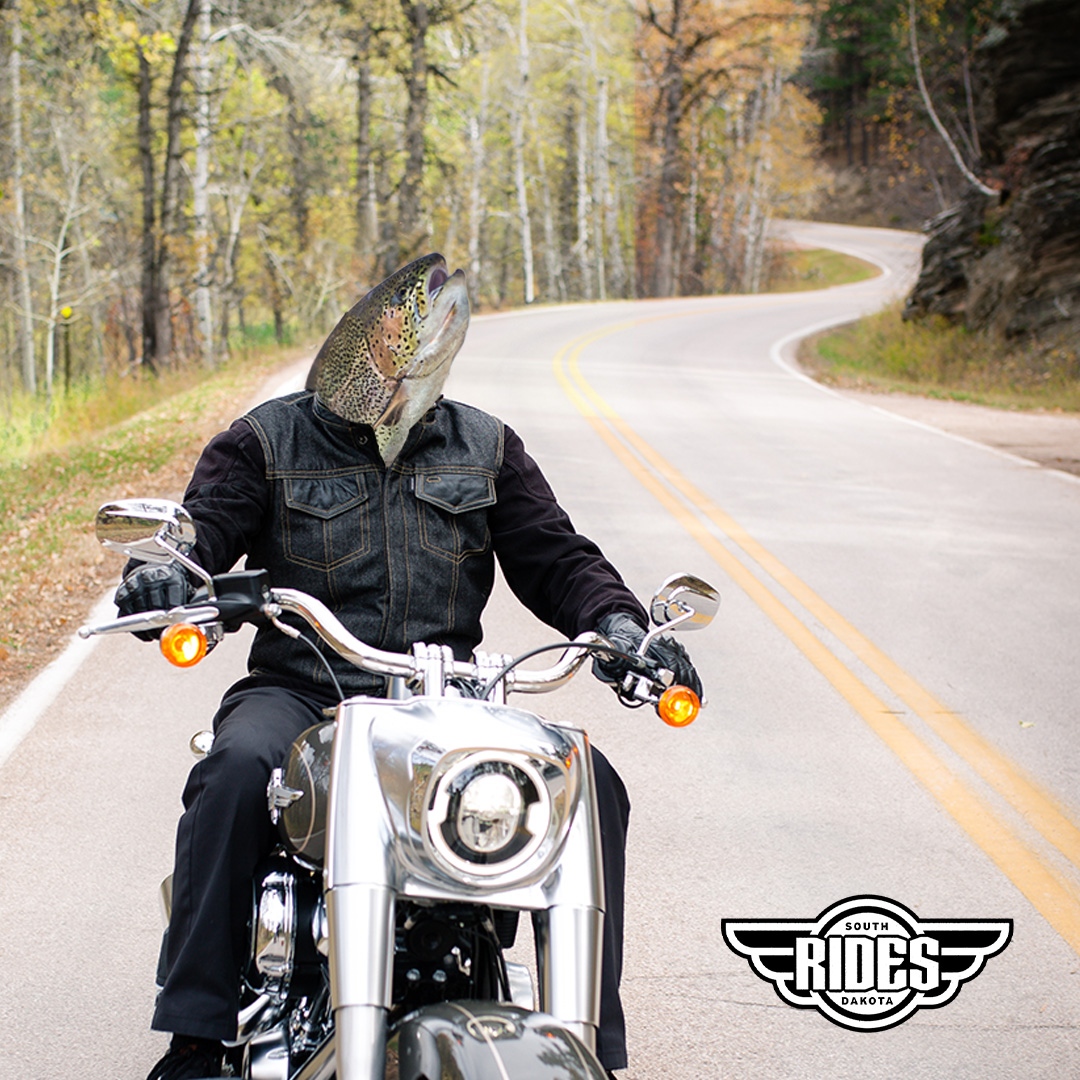 DriveSafeSD's tweet photo. Of all the migrations in the world, from wildebeest to geese, few match the Sturgis Motorcycle Rally in terms of natural wonder. Keep an eye out for wild riders so we can keep them on Planet Earth! 🌎
#SDRides #DriveSafeSD #SturgisRally #ShareTheRoad https://t.co/mURhqf4rit