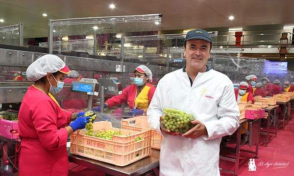 jaarcossanchez's tweet photo. 🔝🔝🔝Murcia presume de uva con empresas como Moyca Grapes
📝https://t.co/ibFLPauxy2
📍Visitamos una entidad señera en #Totana🍇
📌#Moyca produce 70 millones de kilos en 2.000 hectáreas de superficie con 54 diferentes variedades de #uva de mesa 🍇
#regiondeMurcia #agricultura https://t.co/njZfM72ZW3