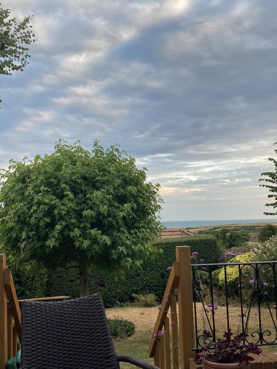 Professor Tara Dean tweet media