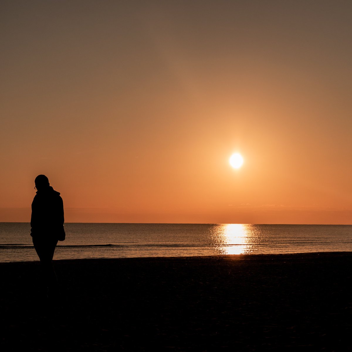sdremthix's tweet photo. 'A bit more time' - ⌚📷📸
A lie everyone tells at some point to themselves...
#naturephotography #seaside #julysummer #julysun #sunsetoftheday #sunset #warmtones  #orange #orangephotography #photography #nikonphotography #nikon #Wednesday #nikonsrbija #fotografija #kompozicija https://t.co/6NXOWjoAcE