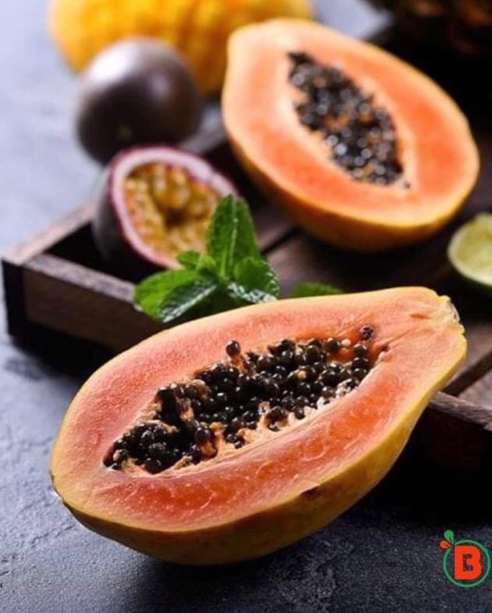 Coach Patrick Eric Meyo tweet media