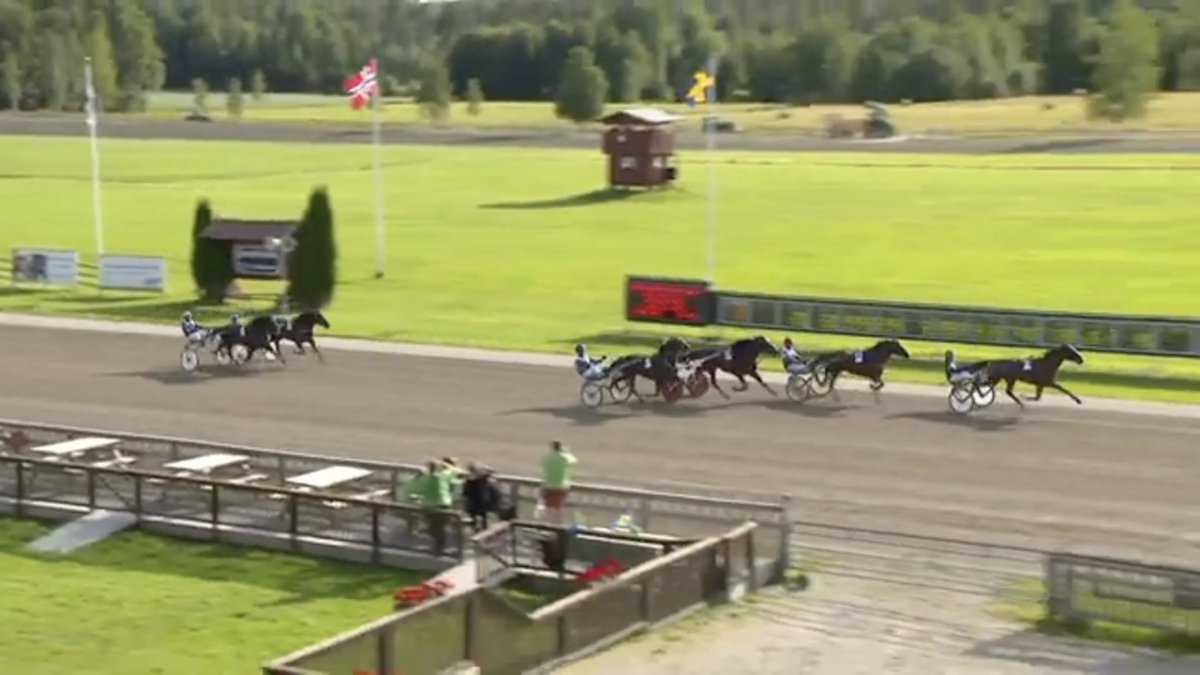 Make It Schermer tog en fin seger direkt i debuten idag på Lindesberg! 16,9/2140meter🌟 Denali Doc fin som trea efter ett lopp utvändigt ledaren. 🥉