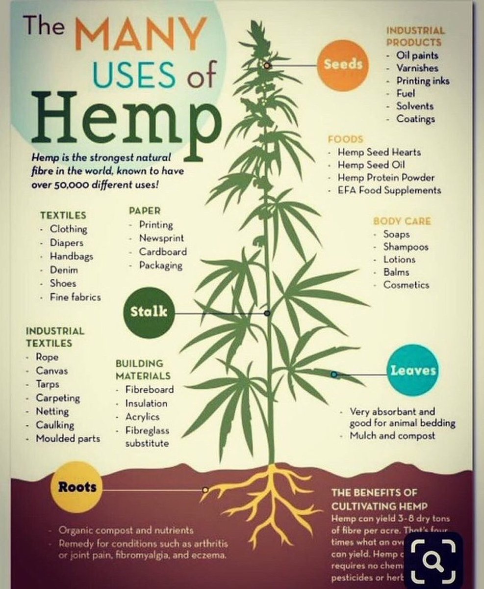 brianhugstrees's tweet photo. Hemp absorbs carbon, regenerates soil, could be used to replace steel, plastic, oil, lithium, concrete, cotton, wood & is high in protein. It’s almost like other industries are trying to suppress this info! If I ever go missing, this is why! #ClimateActionNow #hempsolutions https://t.co/JqEPOgZu41