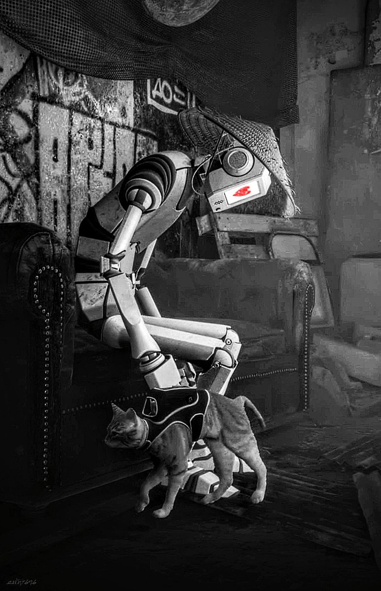 #stray <a href="/Blue12Studio/">BlueTwelveStudio</a> #PS5 #TheCapturedCollective #VGPUnite #VGPNetwork #VPGamers #ThePhotoMode #ArtisticofSociety #GamerGram #VirtualPhotography #WorldofVP #VPEclipse #VPCONTEXT #ZarnGaming #PhotoDenUC