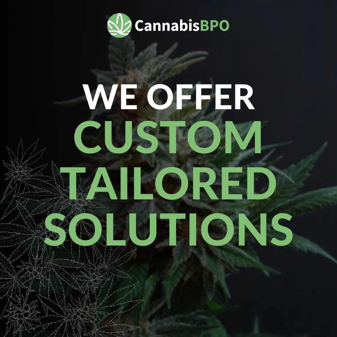 As a true strategic partner we always have the best interest of your cannabis business at heart. Our services are specifically tailored to your unique needs to create a completely custom and individualized program just for you, designed to help you achieve your business goals.