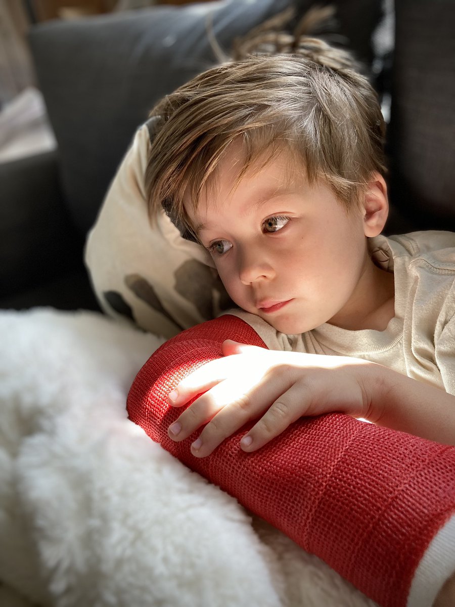 TheSharpDavid's tweet image. “Well, that was a nice trip!”
-Porter, upon returning home from hospital