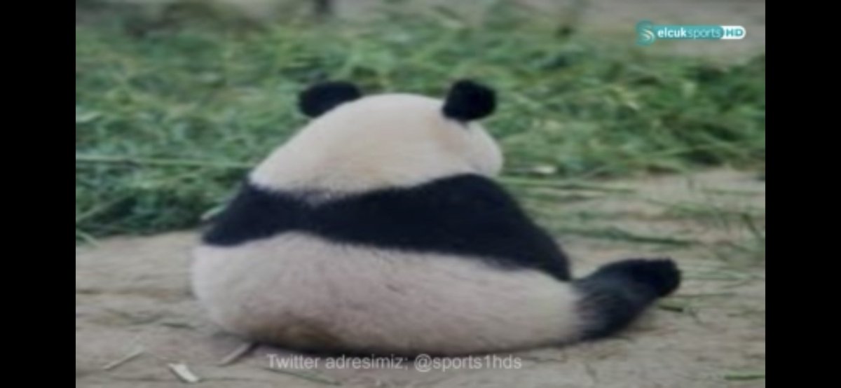 Maçı her haliyle yaşayan koca yürekli adamlar … hakkınız ödenmez <a href="/sports1hds/">SelcukSportsᴴᴰ</a>