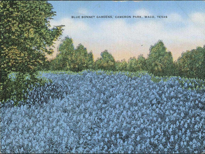 WacoHistory tweet picture