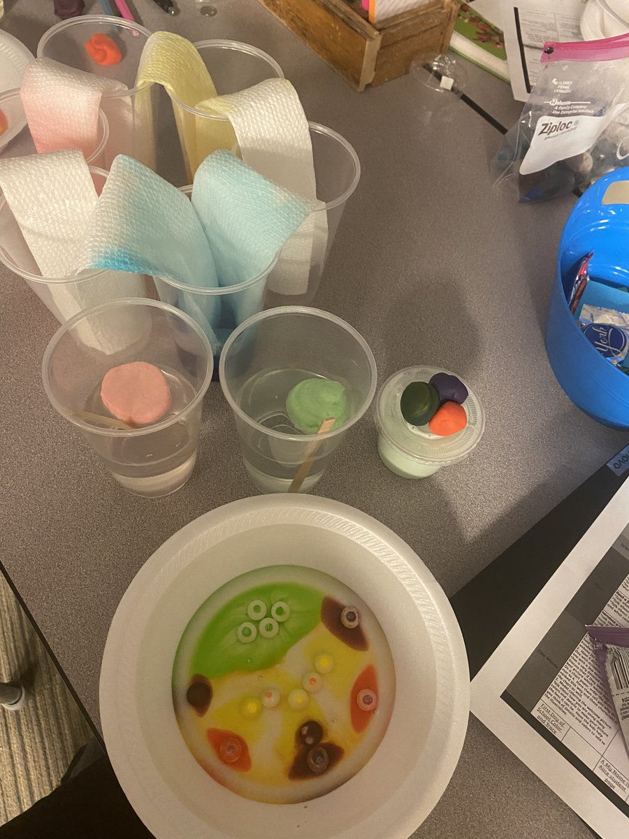 BalentineLuci's tweet photo. Kindergarten science! Melting skittles makes the S float! What?! It’s also pretty to see the colors!! #science #ISDStrong #ISDKinder https://t.co/3N2clfCVnD